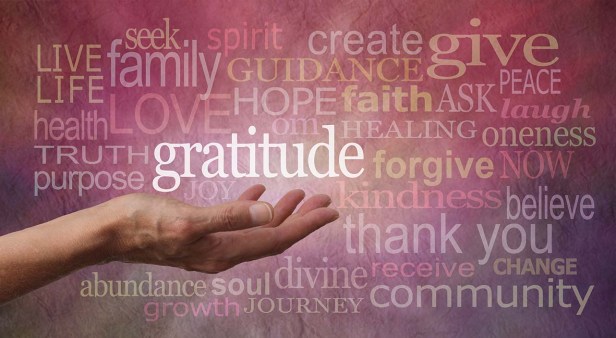 gratitude small