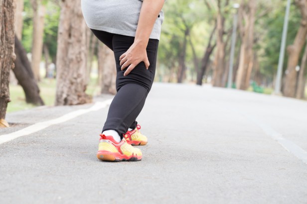 shutterstock_430356751